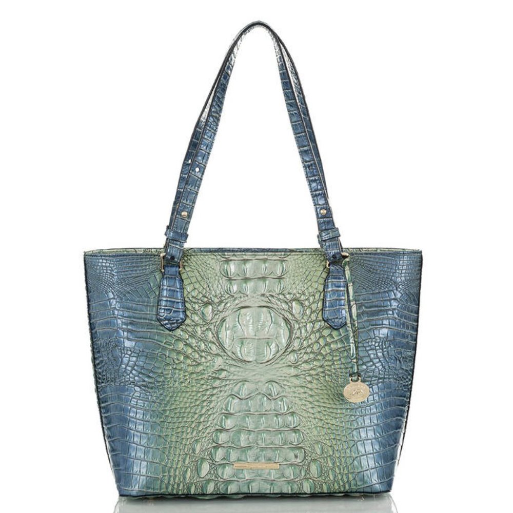 BRAHMIN Medium MISHA HAVEN OMBRE Melbourne Genuine Leather Handbag MSRP $325